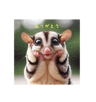 SugarGlider フクロモモンガ（個別スタンプ：7）