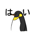 全力肯定！ペンギン（個別スタンプ：1）