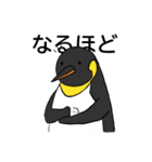 全力肯定！ペンギン（個別スタンプ：9）