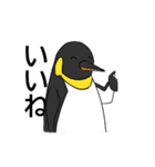 全力肯定！ペンギン（個別スタンプ：13）