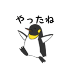 全力肯定！ペンギン（個別スタンプ：14）