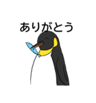 全力肯定！ペンギン（個別スタンプ：19）