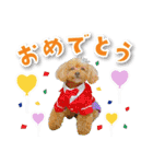 シリウス犬猫病院・公式LINEスタンプ（個別スタンプ：10）