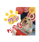 シリウス犬猫病院・公式LINEスタンプ（個別スタンプ：17）