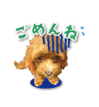 シリウス犬猫病院・公式LINEスタンプ（個別スタンプ：26）