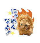 シリウス犬猫病院・公式LINEスタンプ（個別スタンプ：29）