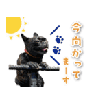 シリウス犬猫病院・公式LINEスタンプ（個別スタンプ：33）