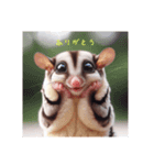 SugarGlider フクロモモンガ スタンプ（個別スタンプ：2）