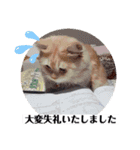 メンズエステあずにゃん1（個別スタンプ：12）