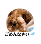 メンズエステあずにゃん1（個別スタンプ：13）