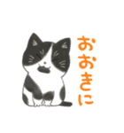 うちの可愛い猫ズ（個別スタンプ：1）