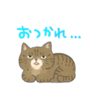 うちの可愛い猫ズ（個別スタンプ：6）