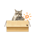 ☆毛玉達☆（個別スタンプ：39）