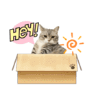毛玉まみれ①（個別スタンプ：39）