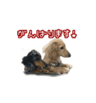 りむとむと（個別スタンプ：2）