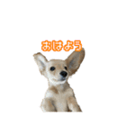 りむとむと（個別スタンプ：4）