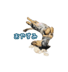 りむとむと（個別スタンプ：5）