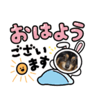茶々まろ（個別スタンプ：1）