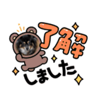 茶々まろ（個別スタンプ：5）