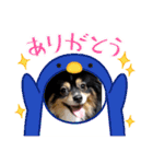 茶々まろ（個別スタンプ：6）