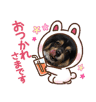 茶々まろ（個別スタンプ：14）