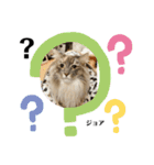 ラフスペースの保護猫達2023.10敬語版（個別スタンプ：22）