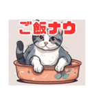 ねこのかわいいイラストスタンプ（個別スタンプ：11）