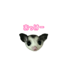 すもンプ⭐︎（個別スタンプ：8）