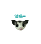 すもンプ⭐︎（個別スタンプ：9）