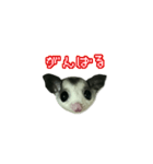 すもンプ⭐︎（個別スタンプ：12）