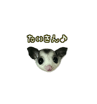 すもンプ⭐︎（個別スタンプ：15）
