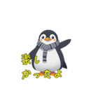 新登場！癒しの冬ペンギン！（個別スタンプ：12）