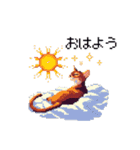 ドット絵 アビシニアン ルディ レッド 猫（個別スタンプ：1）