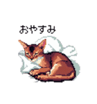 ドット絵 アビシニアン ルディ レッド 猫（個別スタンプ：2）