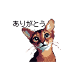 ドット絵 アビシニアン ルディ レッド 猫（個別スタンプ：3）