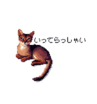 ドット絵 アビシニアン ルディ レッド 猫（個別スタンプ：7）