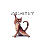 ドット絵 アビシニアン ルディ レッド 猫（個別スタンプ：11）