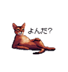 ドット絵 アビシニアン ルディ レッド 猫（個別スタンプ：13）