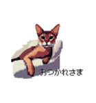 ドット絵 アビシニアン ルディ レッド 猫（個別スタンプ：14）