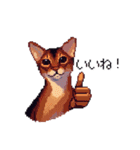 ドット絵 アビシニアン ルディ レッド 猫（個別スタンプ：15）