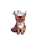 ドット絵 アビシニアン ルディ レッド 猫（個別スタンプ：16）