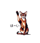 ドット絵 アビシニアン ルディ レッド 猫（個別スタンプ：21）