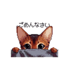 ドット絵 アビシニアン ルディ レッド 猫（個別スタンプ：23）