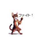 ドット絵 アビシニアン ルディ レッド 猫（個別スタンプ：25）