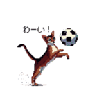 ドット絵 アビシニアン ルディ レッド 猫（個別スタンプ：26）