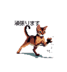 ドット絵 アビシニアン ルディ レッド 猫（個別スタンプ：29）