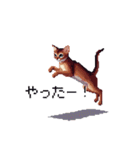 ドット絵 アビシニアン ルディ レッド 猫（個別スタンプ：30）