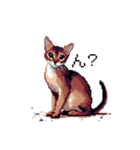 ドット絵 アビシニアン ルディ レッド 猫（個別スタンプ：31）