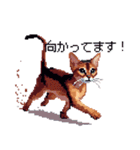 ドット絵 アビシニアン ルディ レッド 猫（個別スタンプ：32）