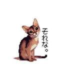 ドット絵 アビシニアン ルディ レッド 猫（個別スタンプ：34）